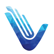 Veranainfotech.com Favicon