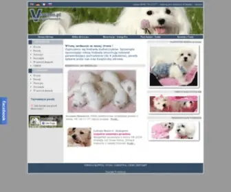 Verdano.pl(VERDANO Hodowla Maltańczyków i Labradorów WARSZAWA) Screenshot