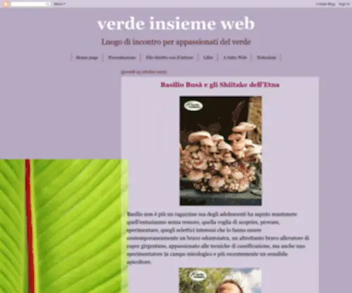 Verdeinsiemeweb.com(Verde insieme web) Screenshot
