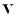 Vero.digital Favicon