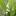 Vertys.net Favicon