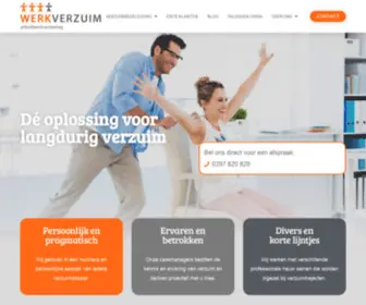 Verzuimopwerk.nl(Werkverzuim) Screenshot