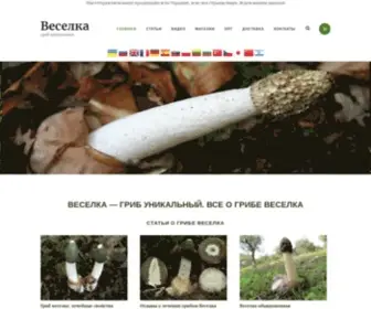 Veselka-Grib.com(Гриб Веселка) Screenshot