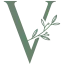 Vesna-Club.com Favicon