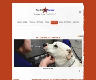 Vet-Pet-MSK.ru(Ветеринар на дом) Screenshot