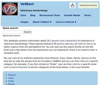 Vetbact.org(Veterinary bacteriology) Screenshot