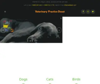 Vetdoest.com(Avian veterinarian Curaçao) Screenshot