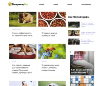 Veterinargid.ru(Ветеринар Гид) Screenshot