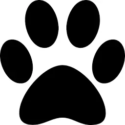 Veterinariosanfrancisco.com Favicon