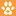 Veterinaryschoolsu.com Favicon