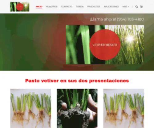 Vetivermexico.com(VETIVER MEXICO) Screenshot