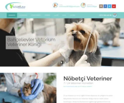 Vetorium.com(Vetorium Veteriner Kliniği) Screenshot