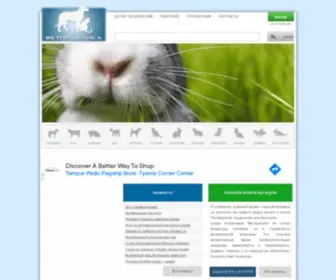 Vetpraktika.ru(Домашние животные) Screenshot