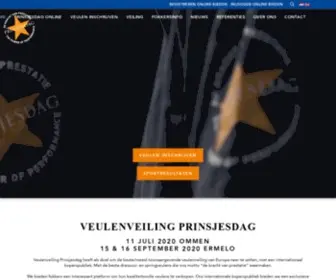 Veulenveilingprinsjesdag.nl(Veulenveiling Prinsjesdag) Screenshot