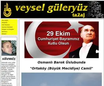 Veyselguleryuz.com(Hasan Veysel Güleryüz) Screenshot