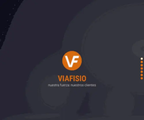 Viafisio.com(VIAFISIO, SL) Screenshot