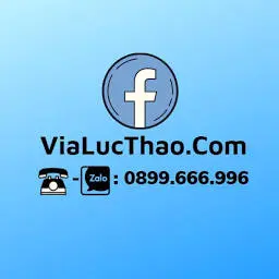 Vialucthao.com Favicon