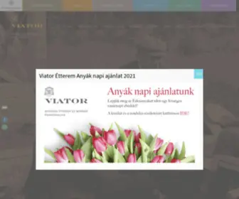 Viator.co.hu(Viator) Screenshot