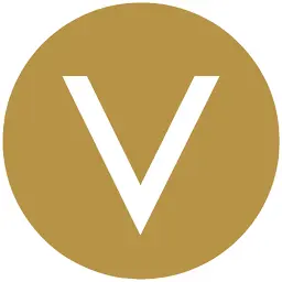 Vibemn.com Favicon