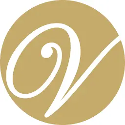 Vibes-SA.com Favicon