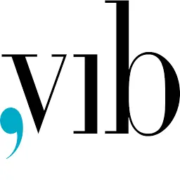 Vibgroup.it Favicon