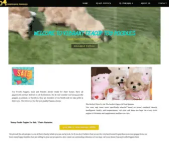 Vibranttoypoodles.com(Teacup Poodle Puppies For Sale) Screenshot