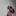Victoriabugzoo.com Favicon