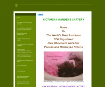 Victoriangardenscattery.com(PERSIAN KITTENS FOR SALE) Screenshot