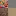 Vidaemigrante.com Favicon