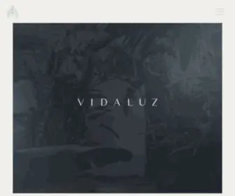 Vidaluzdevelopment.com(Vidaluz) Screenshot
