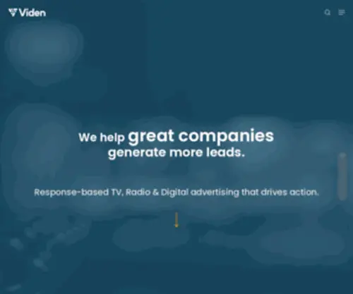 Videnmarketing.com(Business Strategy & Performance Marketing Execution) Screenshot