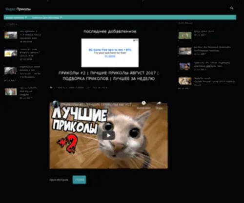 Video-Prikoli.ru(Подборка лучших видео приколов со всего интернета) Screenshot