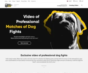 Videofightingdog.com(Video of professional matches of dog fights pit bull terriers) Screenshot