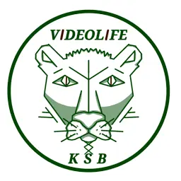 Videolife.moscow Favicon