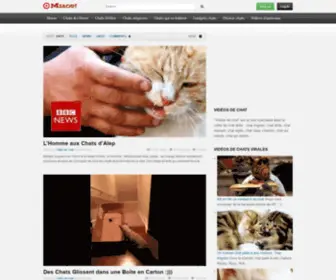 Videos-Chat.fr(Vidéos de chat) Screenshot