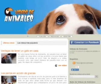 Videos-DE-Animales.com(Perros) Screenshot