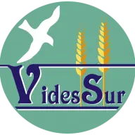 Videssur.org Favicon