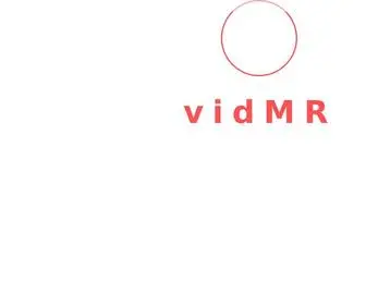 Vidmr.com(World's best video based market research) Screenshot