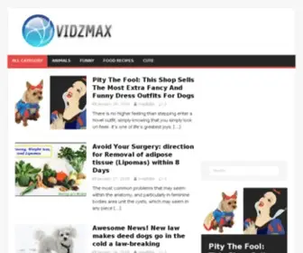 Vidzmax.com(Watch The Best Video In One place) Screenshot