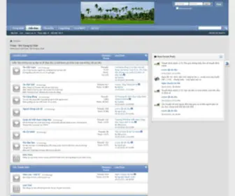 Vietland.net(Ã DÃ¢n) Screenshot