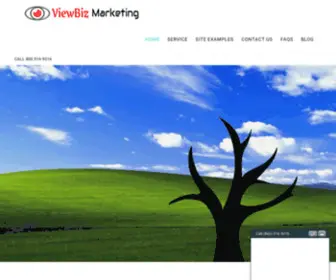 Viewbiz.com(ViewBiz Marketing Agency) Screenshot