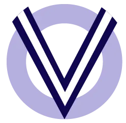 Vigilltda.cl Favicon