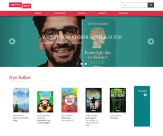 Vigmostadbjorke.no(Bok) Screenshot