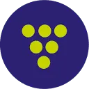 Vignevin.com Favicon