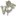 Vikafiesta.ru Favicon