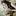Viktoriajean.com Favicon
