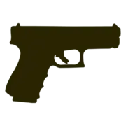 Villagepawnandgunshop.com Favicon