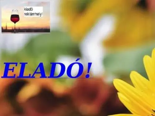 Villamharito.hu(Alpin T) Screenshot