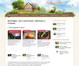 Villaved.ru(Фермерский портал Виллавед) Screenshot