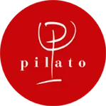 Vina-Pilato.com Favicon